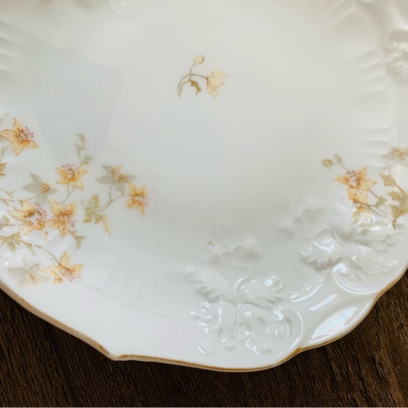 Vintage Carlsbad Plates From Austria - Picture 4 of 9